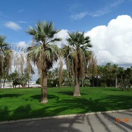 Palm Azur Apartment *